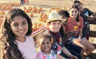 Pumpkin Patch Hay Ride