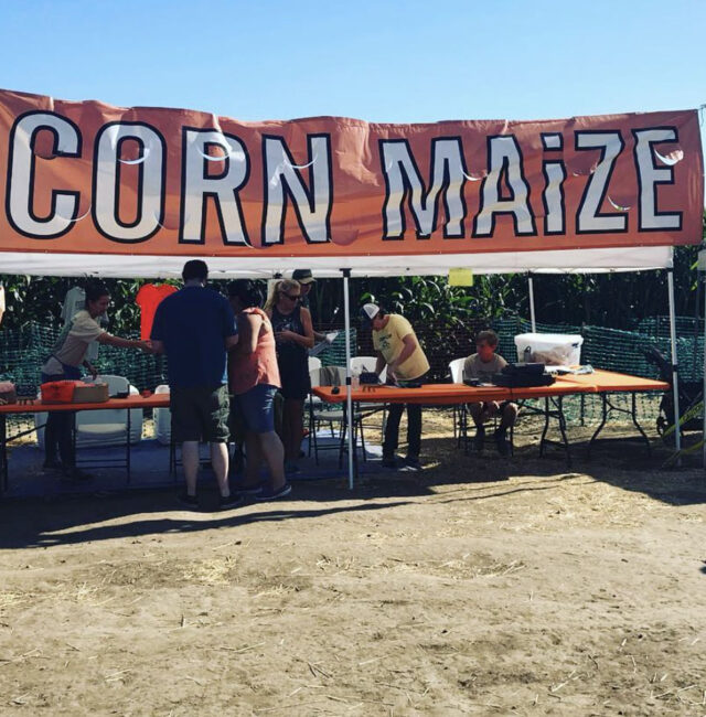 Corn MaiZe Entrance